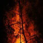 Inferno on the Canary Islands: Tenerife villages forced to evacuate as wildfires ravage the landwordpress,CanaryIslands,Tenerife,wildfires,evacuation,Inferno,ravage